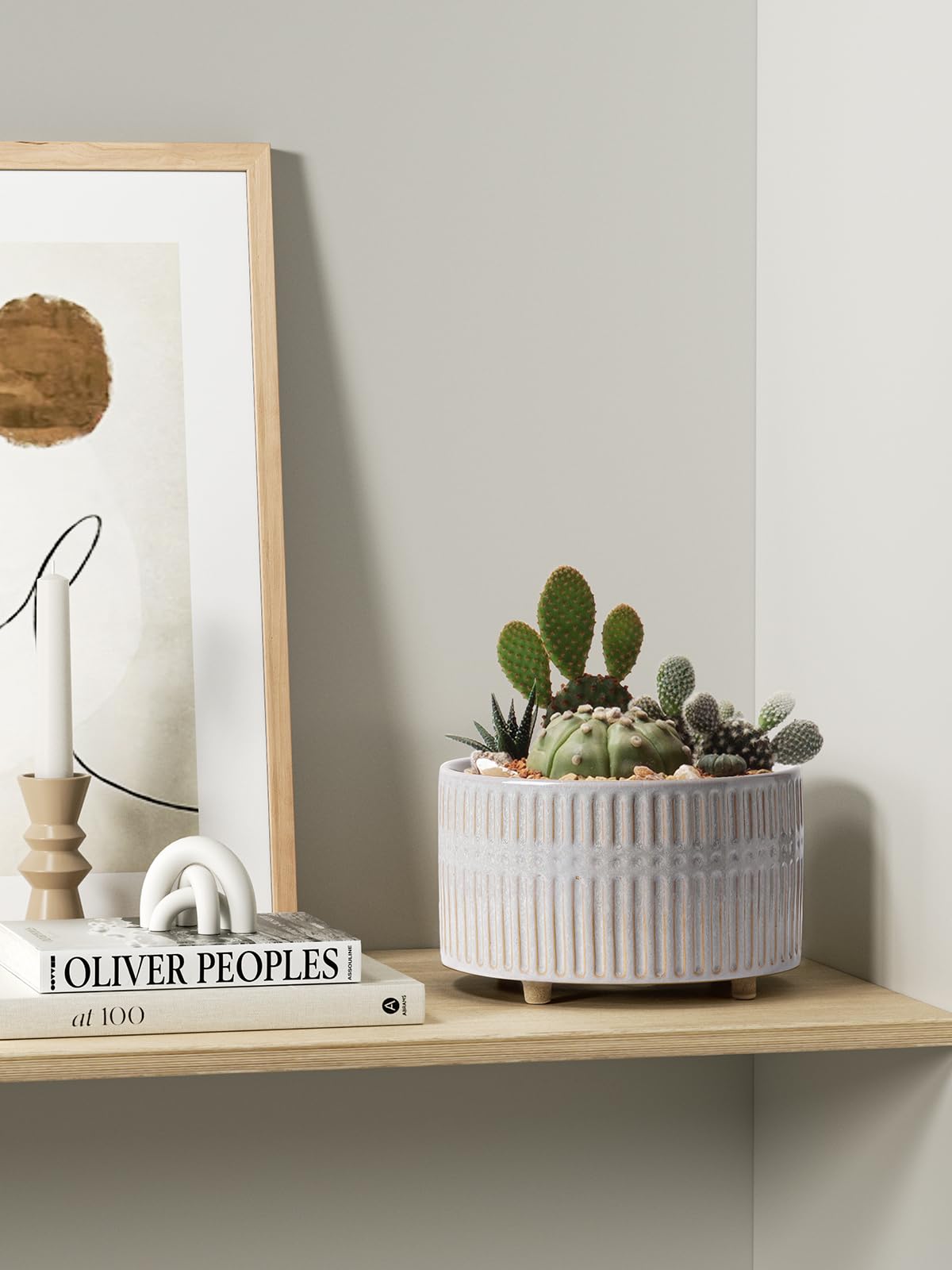 LE TAUCI 6.5-inch drainage-hole planter helps quick moisture release.
