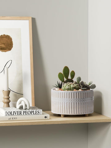 LE TAUCI 6.5-inch drainage-hole planter helps quick moisture release.