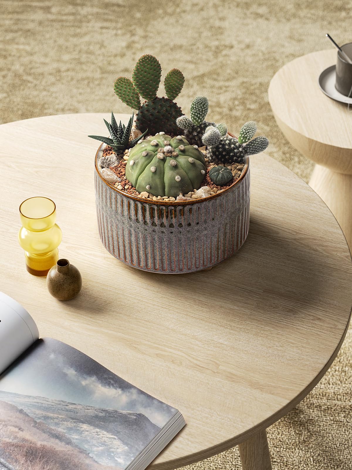 LE TAUCI 6.5-inch shallow pot ideal for compact succulents