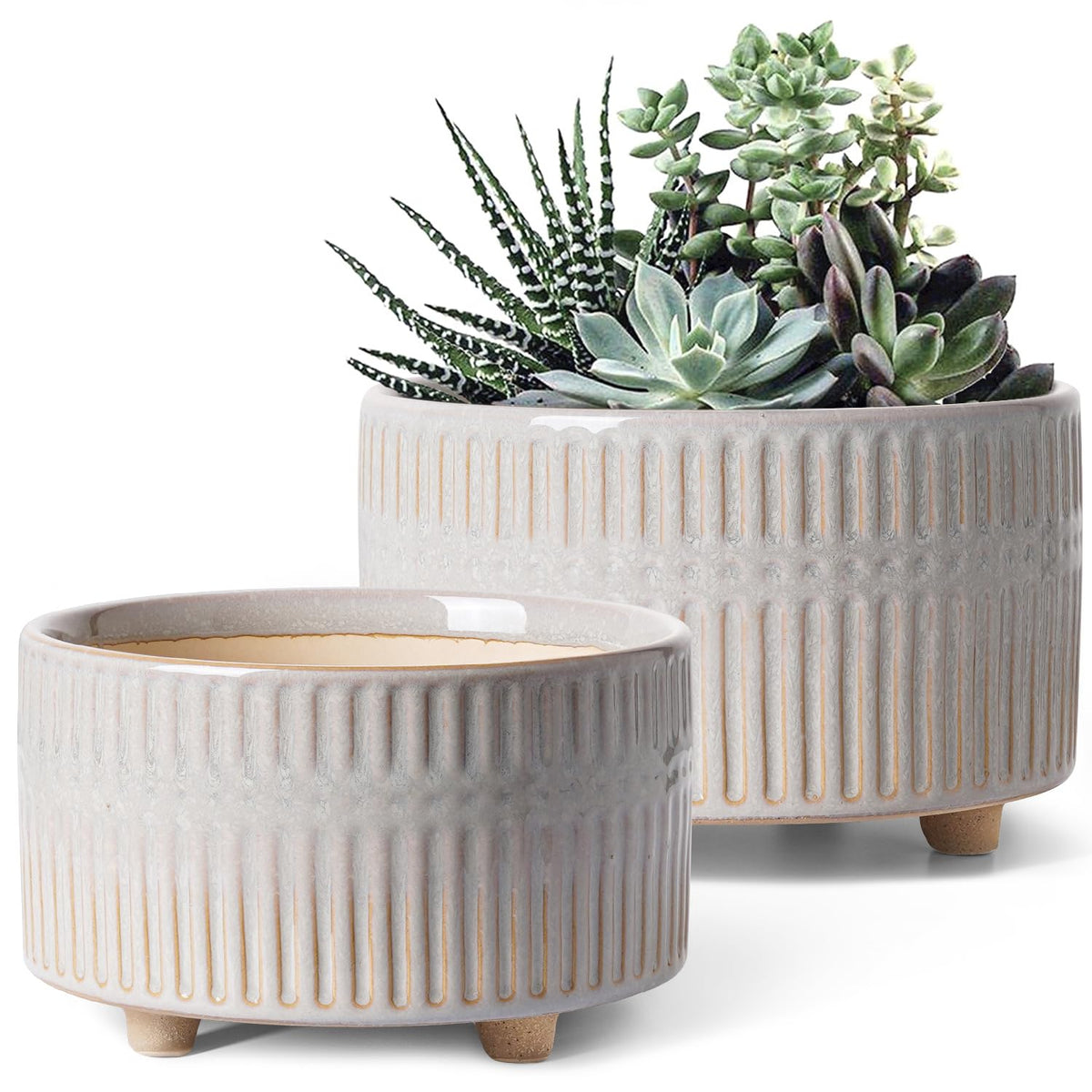 LE TAUCI 8-inch succulent pot with reactive glaze adds modern style to shelves.