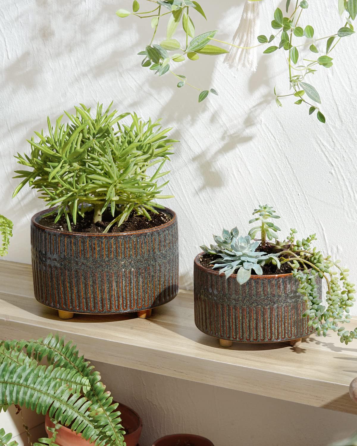 LE TAUCI 8-inch pot with wide mouth for lush plant arrangements