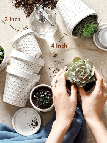 LE TAUCI pot with drainage holes and saucer protecting surfaces from moisture.