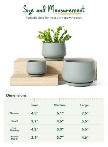 LE TAUCI unglazed interior promotes moisture balance for roots