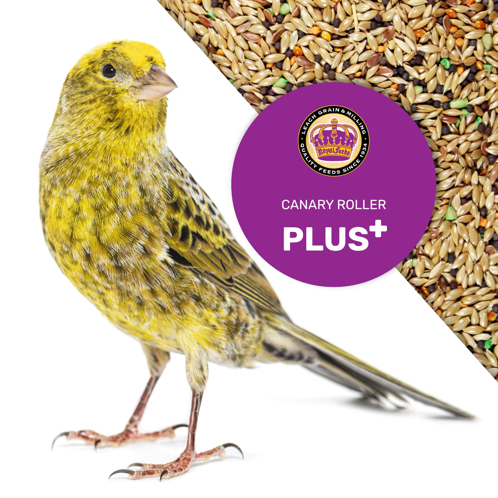 LEACH Canary Plus vitamin-coated seeds support plumage and vitality.