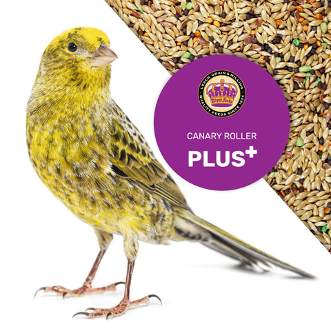 LEACH Canary Plus vitamin-coated seeds support plumage and vitality.