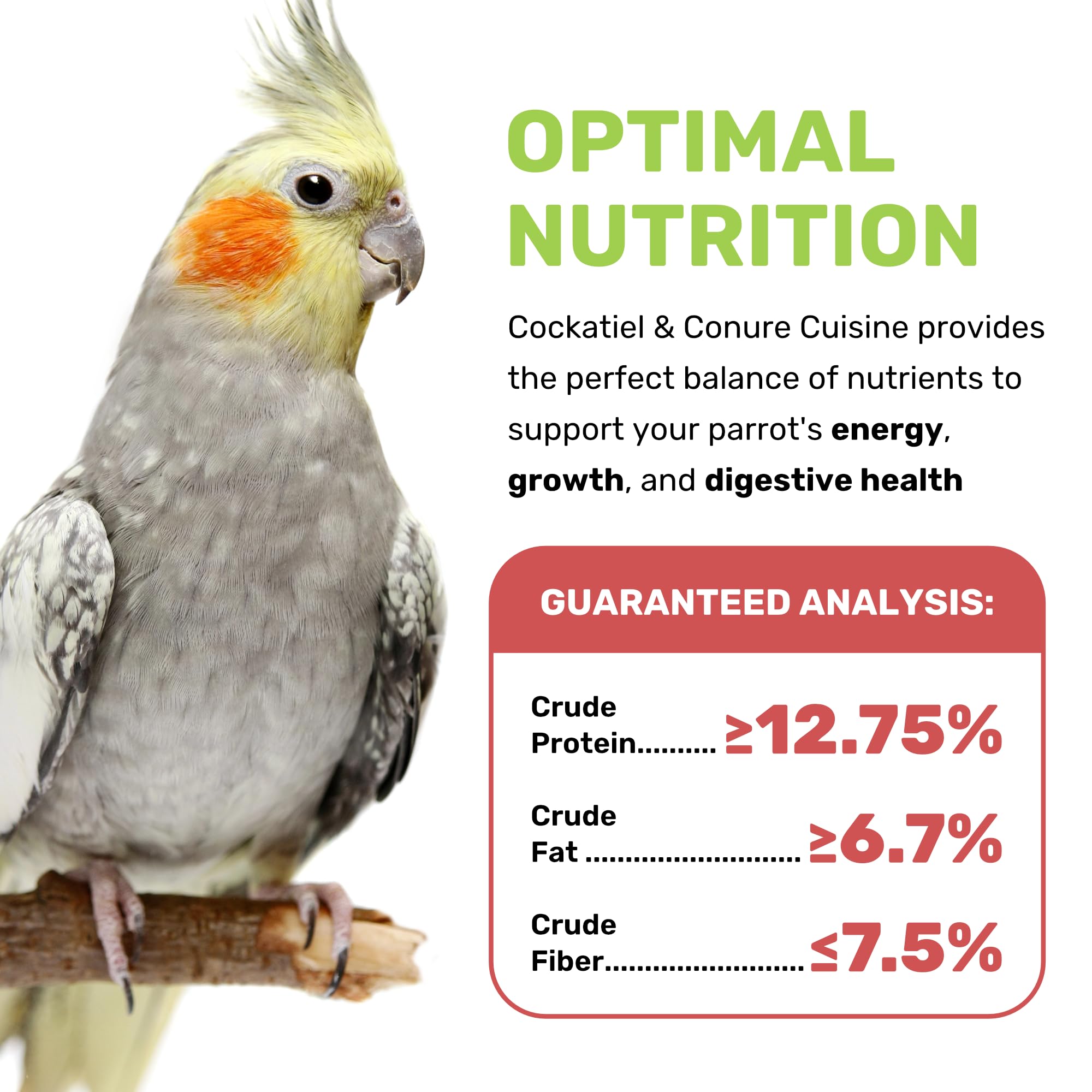 LEACH Cockatiel & Conure Cuisine seed-mix offers varied nutrients for small parrots.