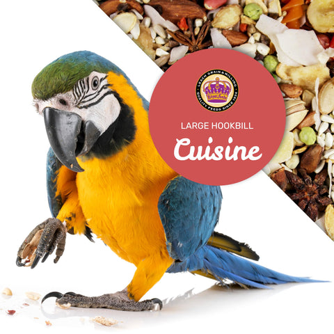 LEACH dried fruits vegetables close-up foraging enrichment