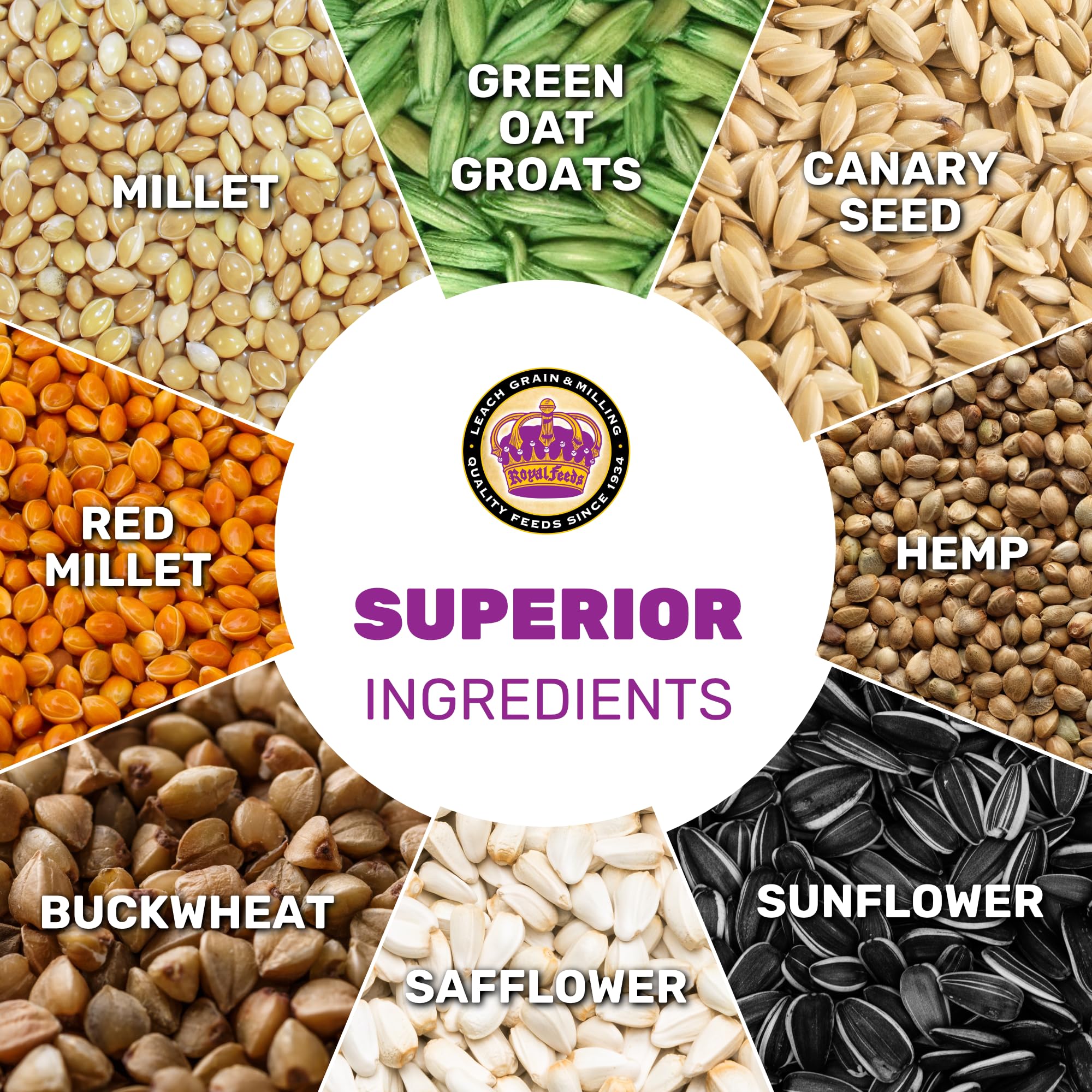 Serving bowl ready-to-feed image showcases convenient daily portions.