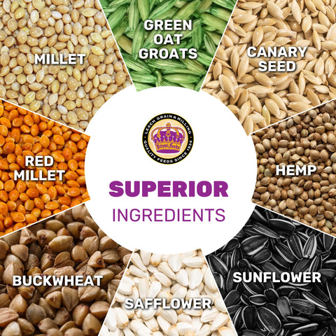 Serving bowl ready-to-feed image showcases convenient daily portions.
