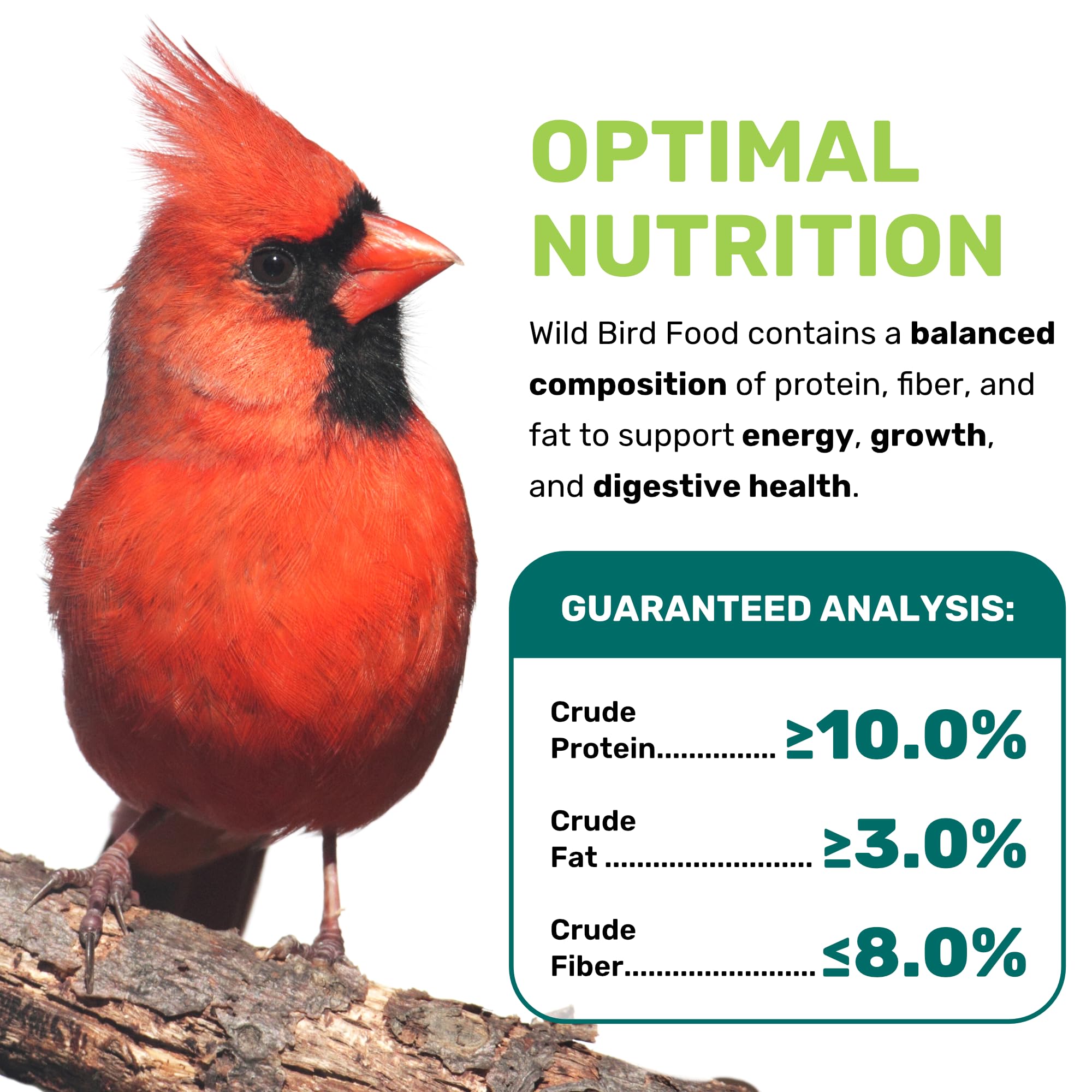 LEACH GRAIN & MILLING CO. Cracked corn, millet, milo and wheat showcase natural ingredients for birds.