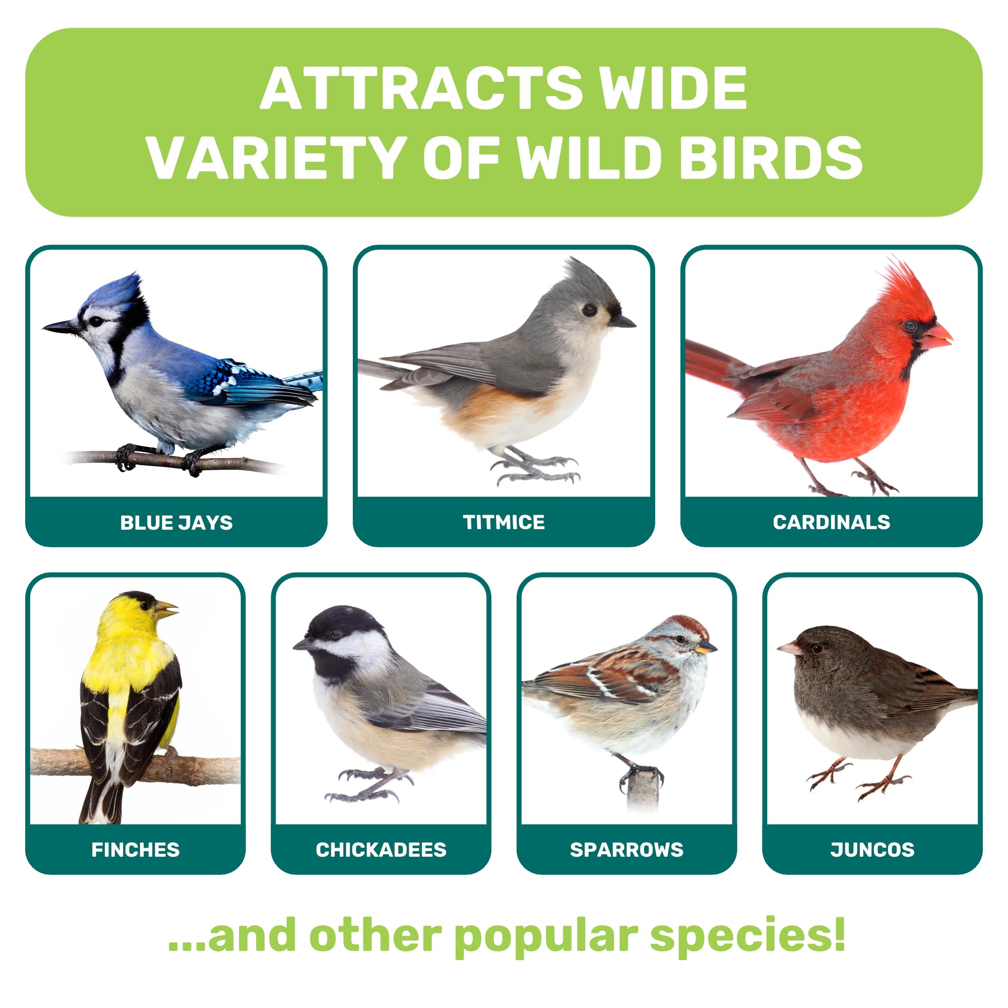 LEACH GRAIN & MILLING CO. High-quality ingredients support birds' natural feeding preferences.