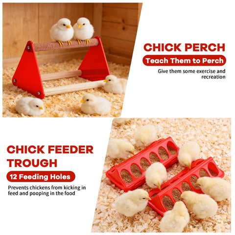 Leadinor chick feeder with individual holes prevents crowding.