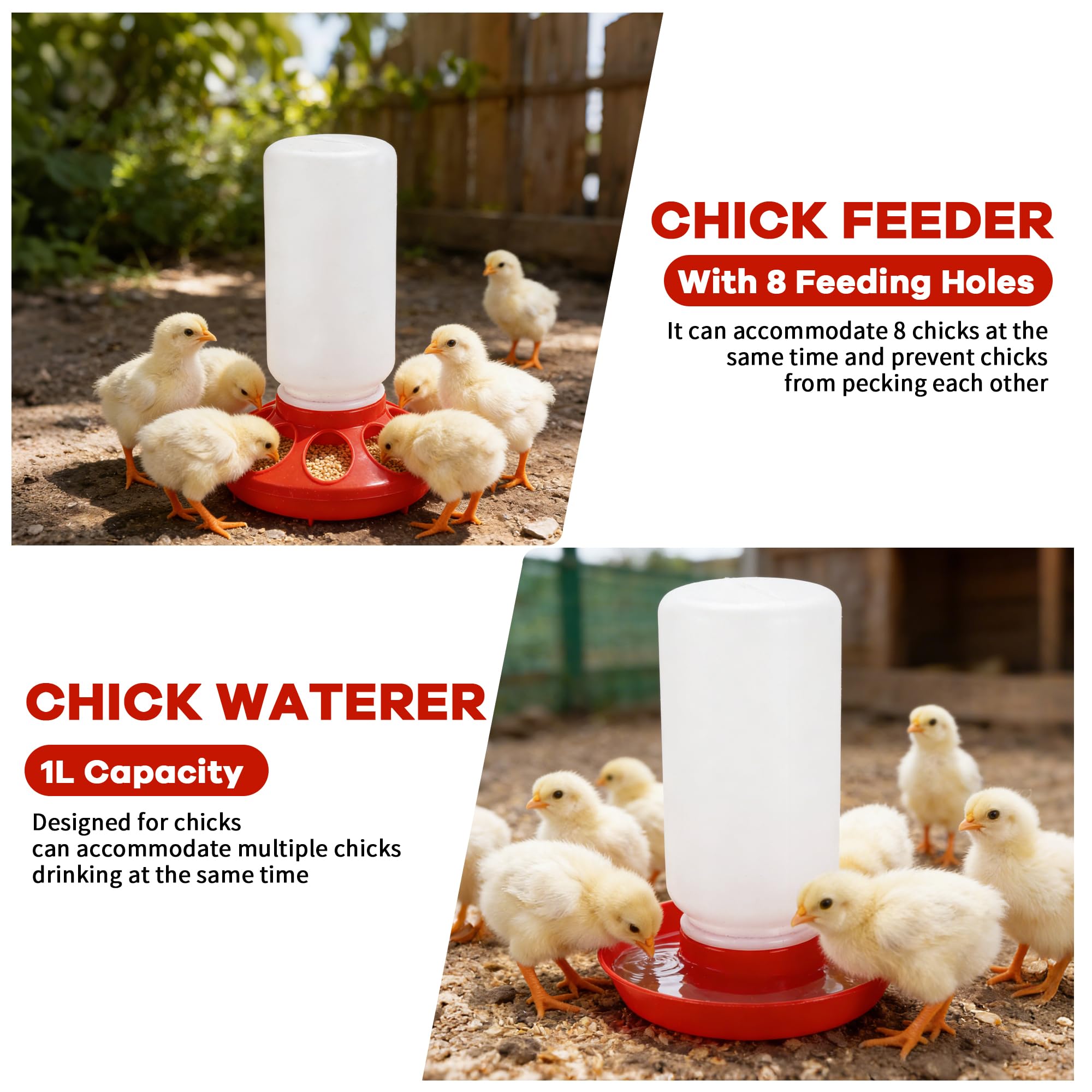 Leadinor chick waterer with auto spout for steady hydration.