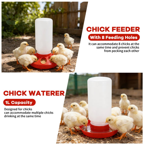 Leadinor chick waterer with auto spout for steady hydration.