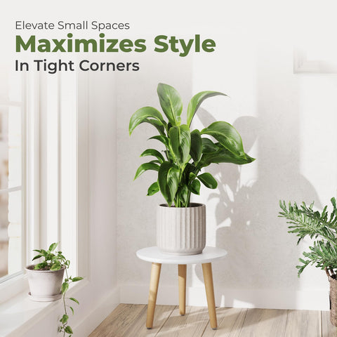 Leaf&lull tripod legs provide sturdy stability for tall indoor plants