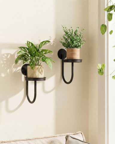 Leaf&lull wall plant holder two-pack in black, space-saving wall display.