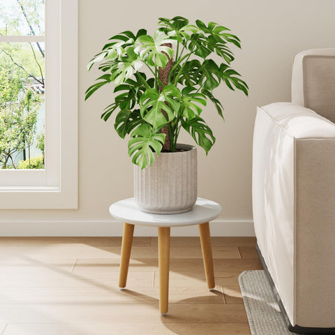 Leaf&lull white plant stand with round top supports large pots securely
