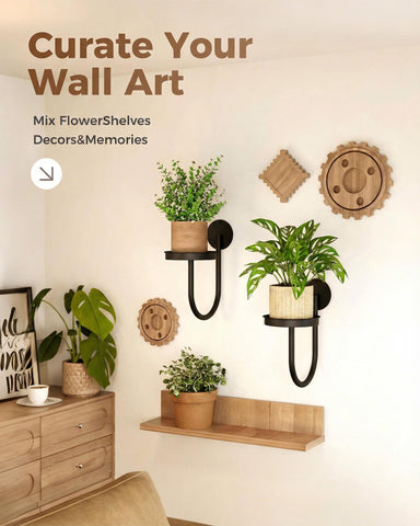 Leaf&lull window-planter shelf bathed in sunlight, bright plant gallery.