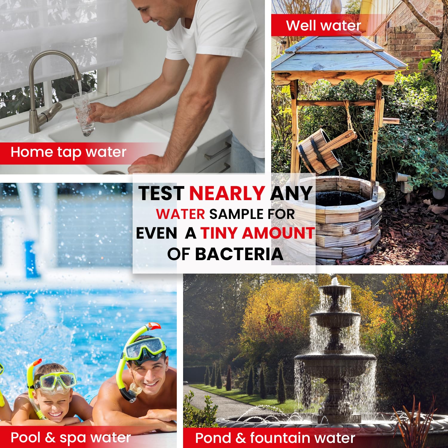Leaping Lynx Bacteria Test Kit lab-quality results at home.