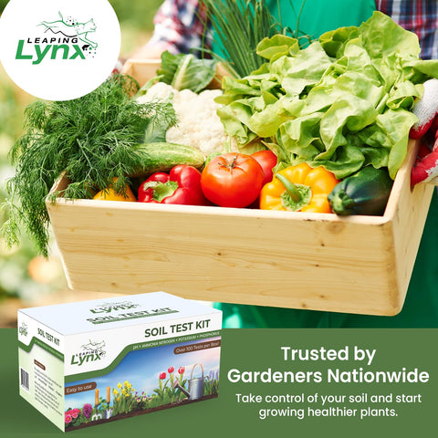 Leaping Lynx packaging opened shows ready-to-use beginner-friendly kit.