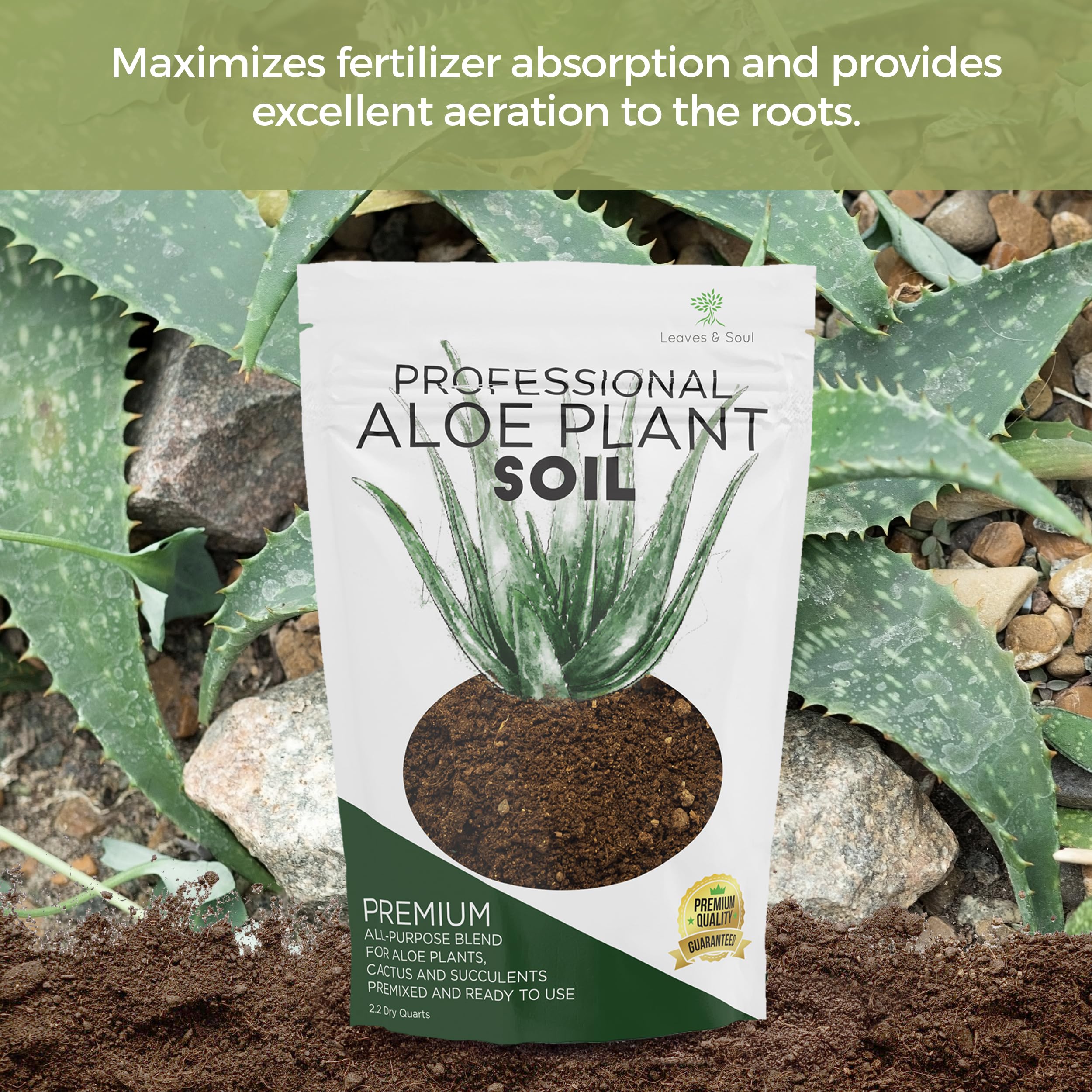 Leaves and Soul Aloe soil texture closeup showing airy root-friendly structure.