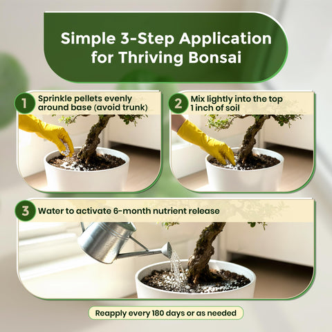 Leaves and Soul bonsai fertilizer pellets on seedlings encouraging sturdy development.