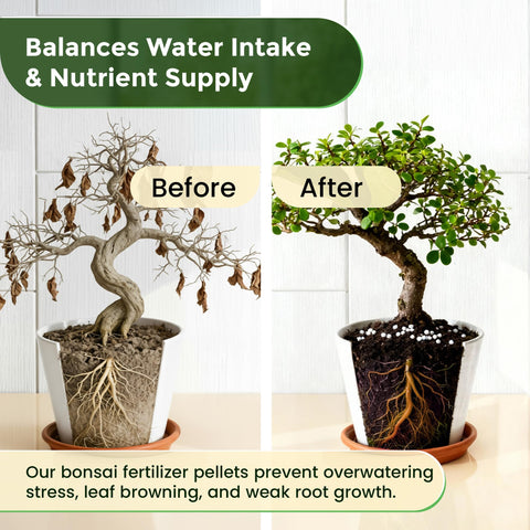 Leaves and Soul bonsai fertilizer pellets packaging highlights USA-made quality.