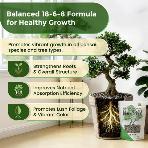 Leaves and Soul bonsai fertilizer pellets on mature trees supporting consistent nutrition.