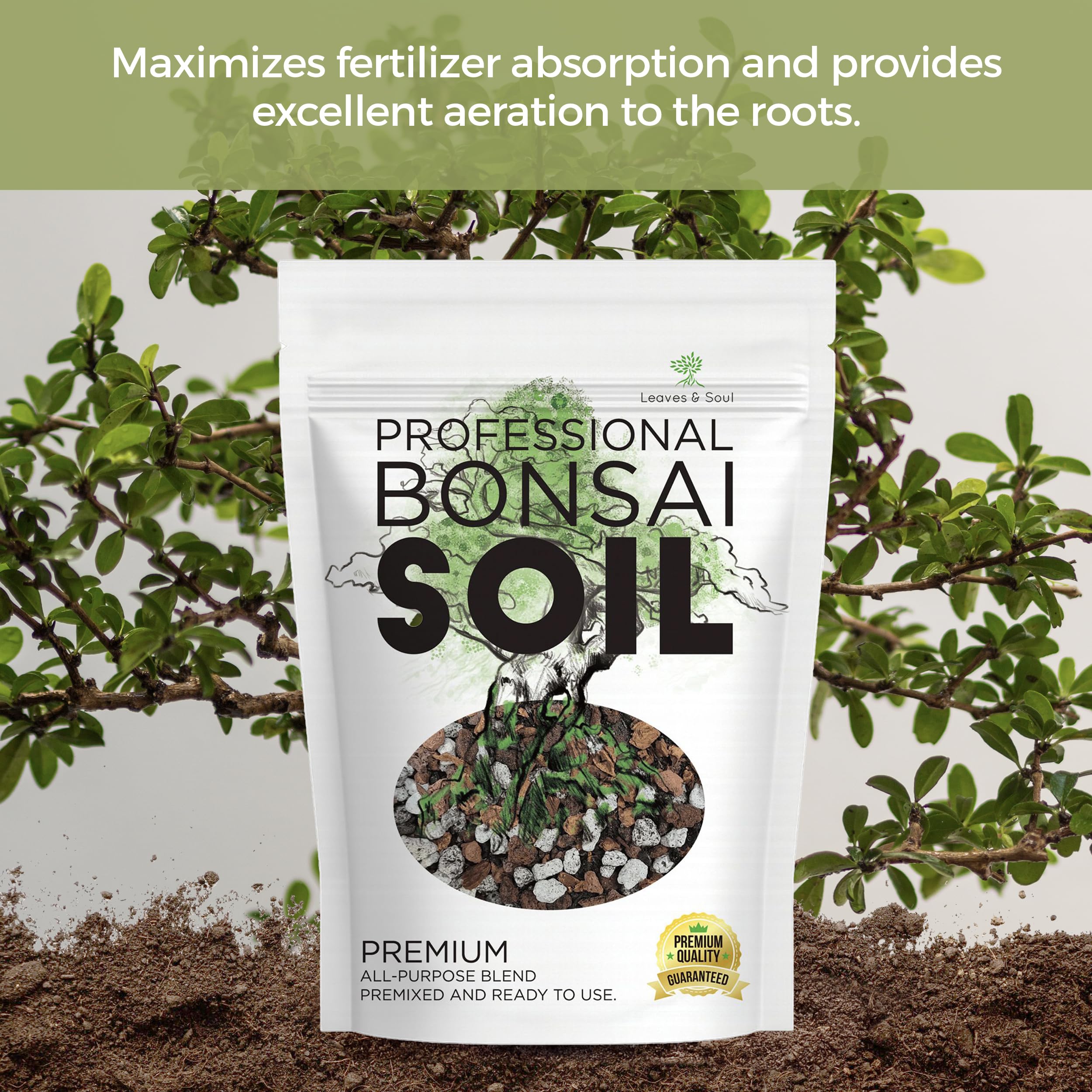 Texture close-up showing calcined clay and pearock in the bonsai soil blend.