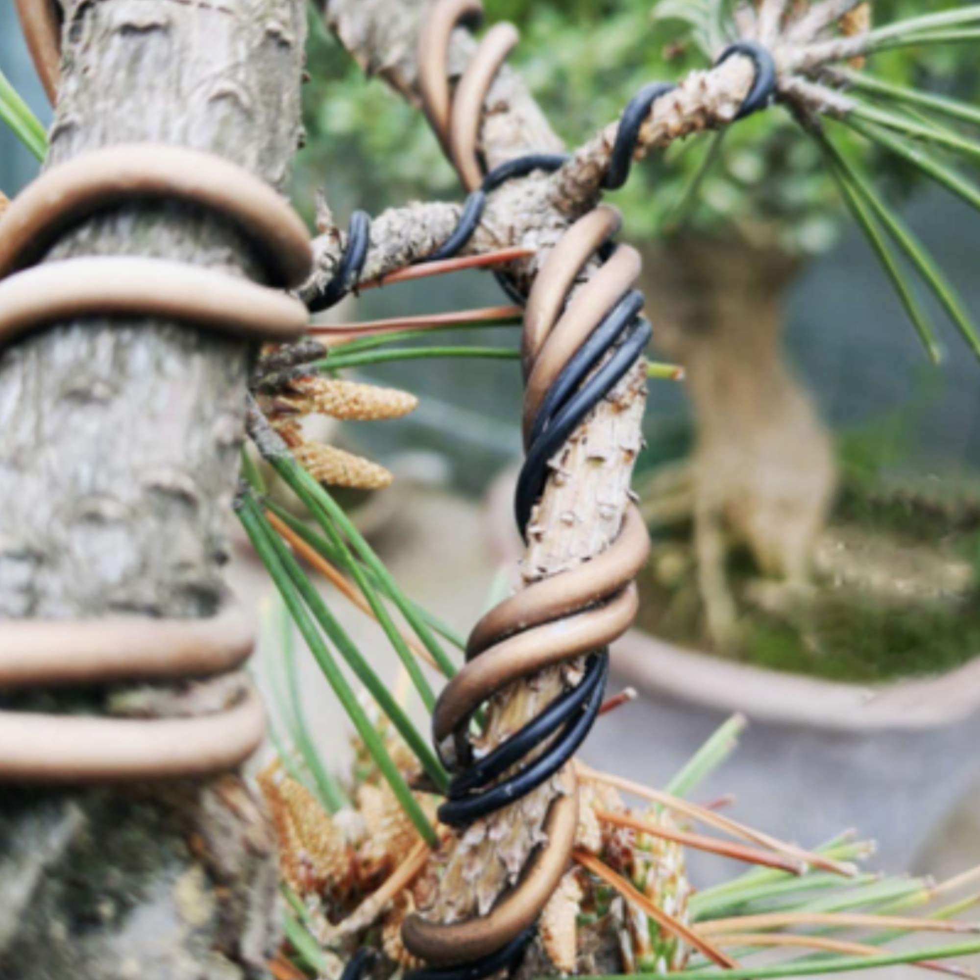 Leaves and Soul bonsai wire sizes 1.0 to 3.0 mm cover beginner to advanced projects.