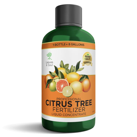 Leaves and Soul citrus fertilizer bottle pour for rapid root feeding