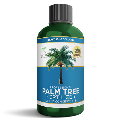 Leaves and Soul bottle pour shows quick nutrient delivery for palm trees.
