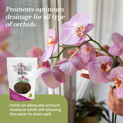 Leaves and Soul Bromeliad Epiphyte-friendly mix supports healthy root zones.
