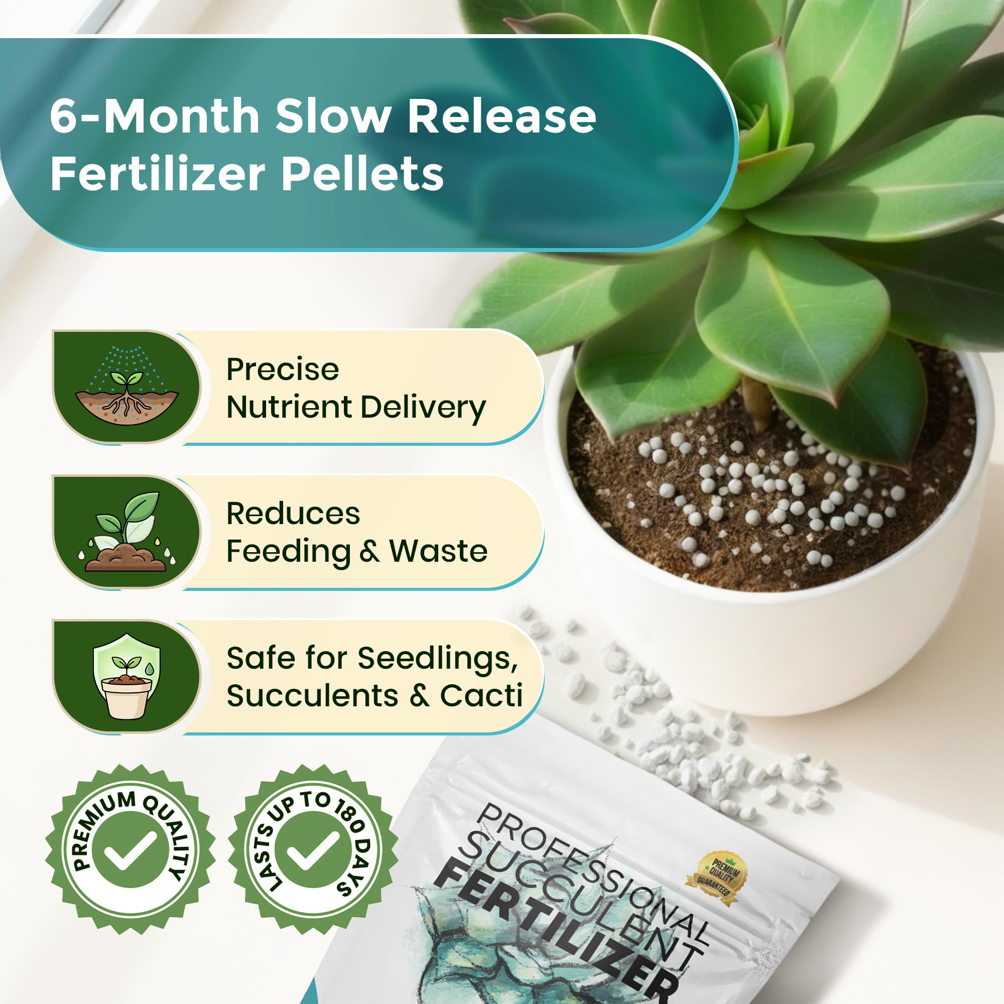 Leaves and Soul cactus and succulent application suitable for diverse plant types.