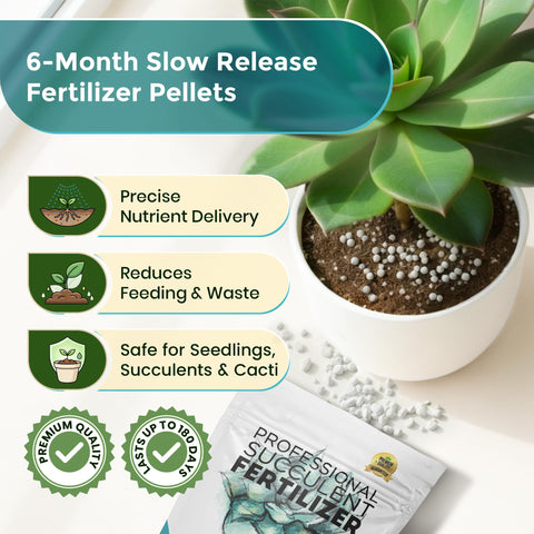 Leaves and Soul cactus and succulent application suitable for diverse plant types.