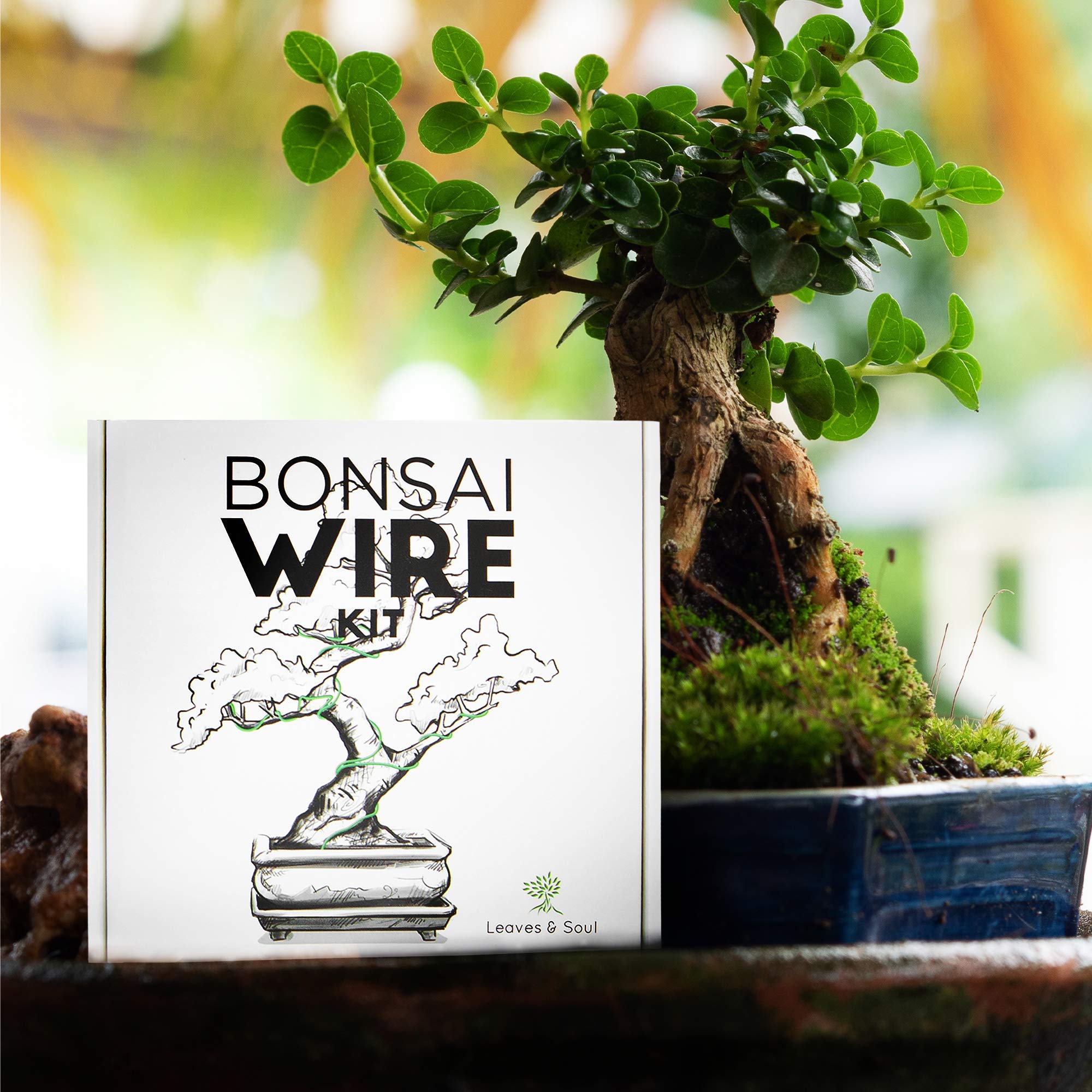 Leaves and Soul complete bonsai wire kit ready for immediate use.