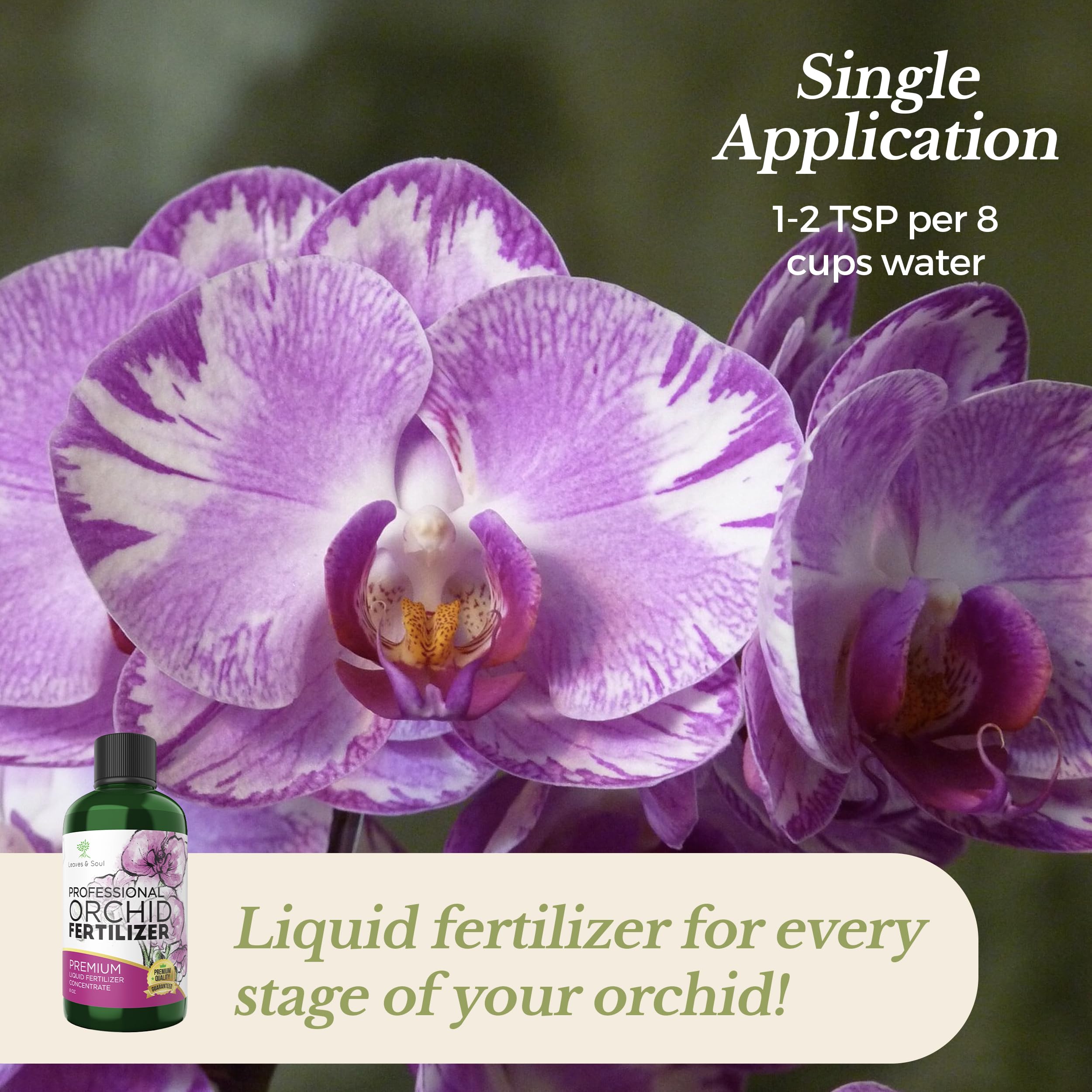 Leaves and Soul concentrate diluting in water to prepare orchid feed.