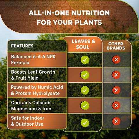 Leaves and Soul liquid fertilizer being diluted in water for easy application