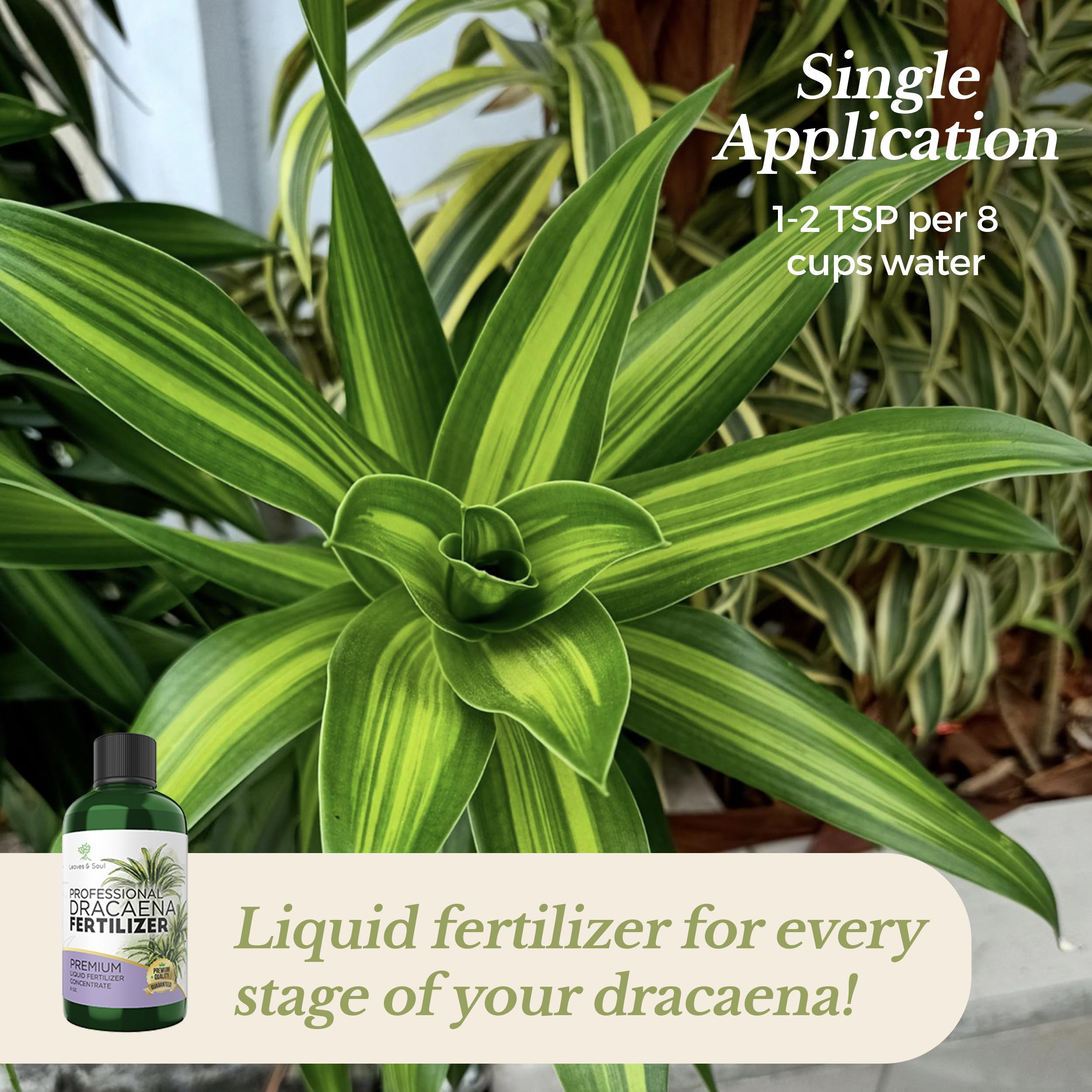 Leaves and Soul 8 oz bottle packaging designed for home use.