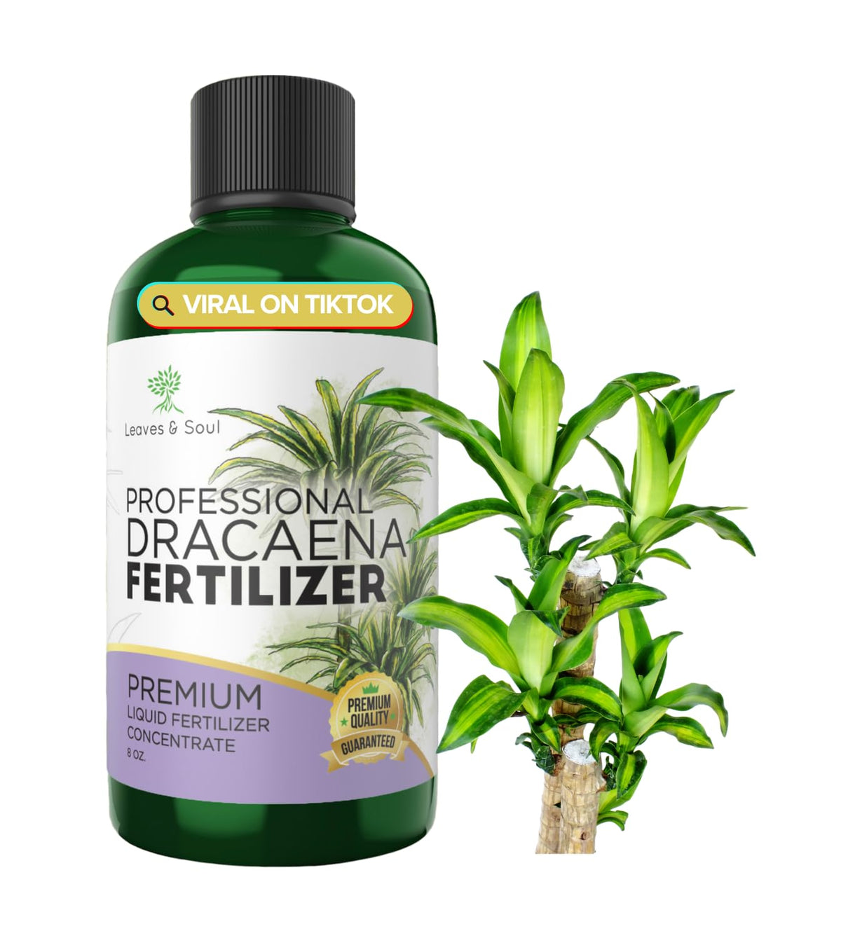 Leaves and Soul dracaena fertilizer bottle cap shows secure seal for freshness.