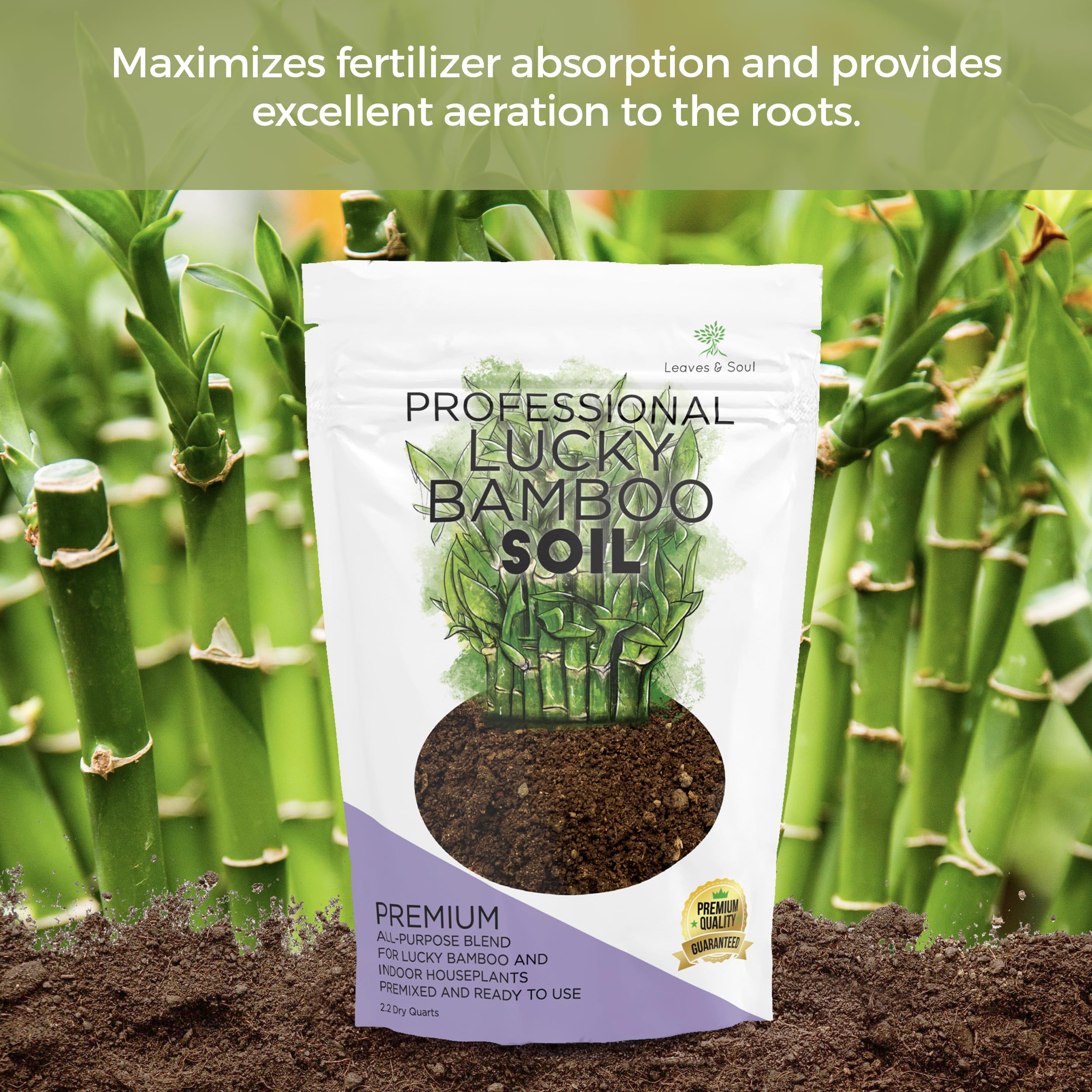 Leaves and Soul indoor plant soil mix enhances drainage to prevent overwatering