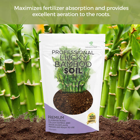 Leaves and Soul indoor plant soil mix enhances drainage to prevent overwatering