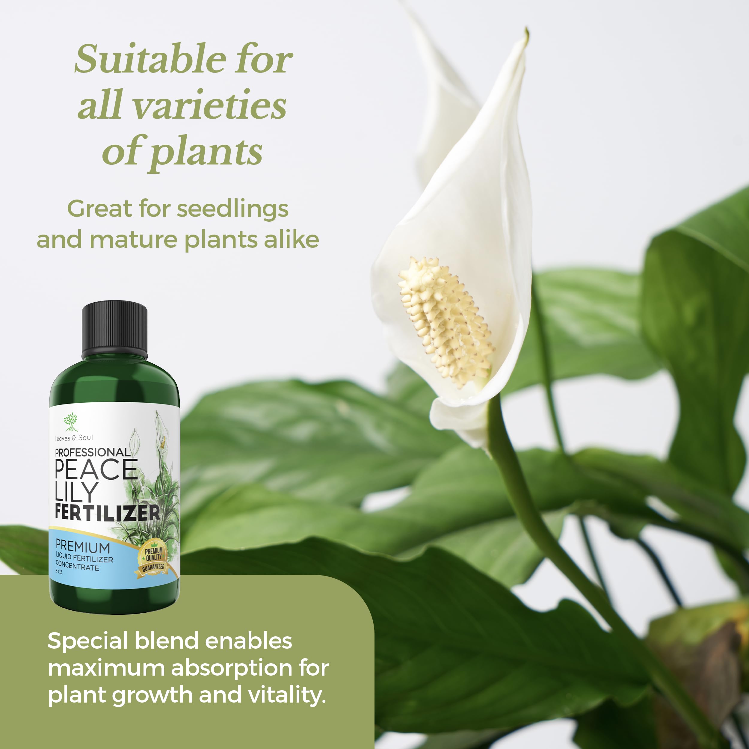 Leaves and Soul eight-ounce bottle ready for regular plant feeding.