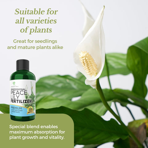 Leaves and Soul eight-ounce bottle ready for regular plant feeding.