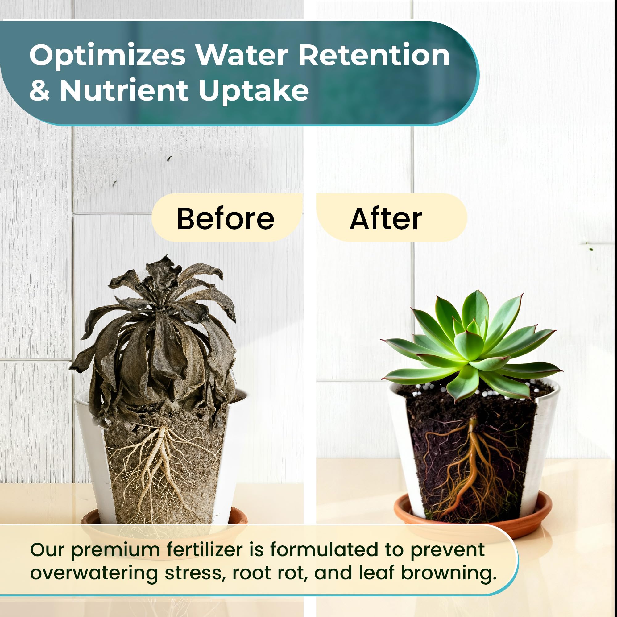 Leaves and Soul epiphyte-friendly nutrition supports varied species with steady growth.