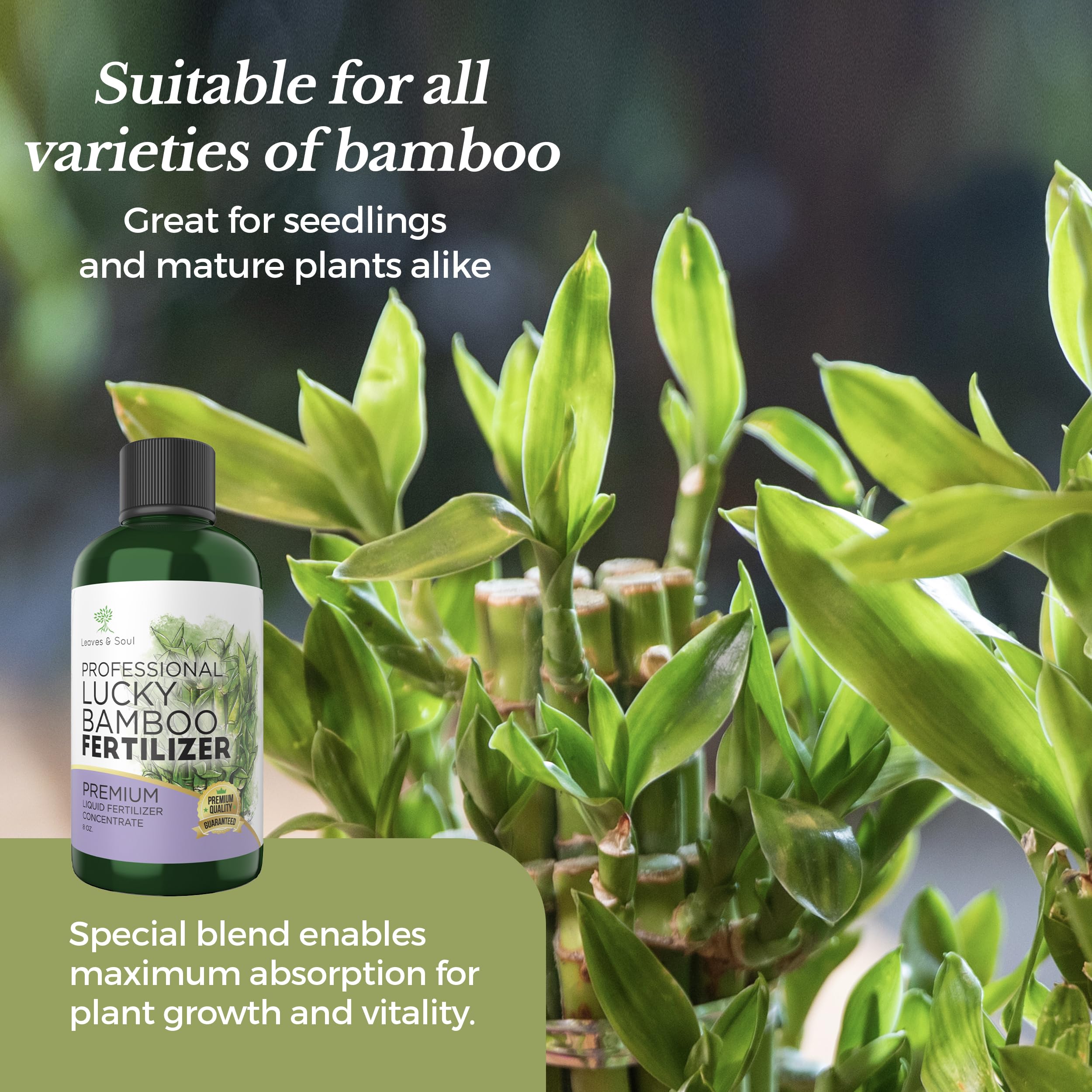 Leaves and Soul ready-to-use mix prepares nutrients during watering