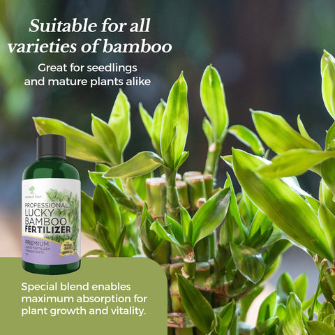 Leaves and Soul ready-to-use mix prepares nutrients during watering