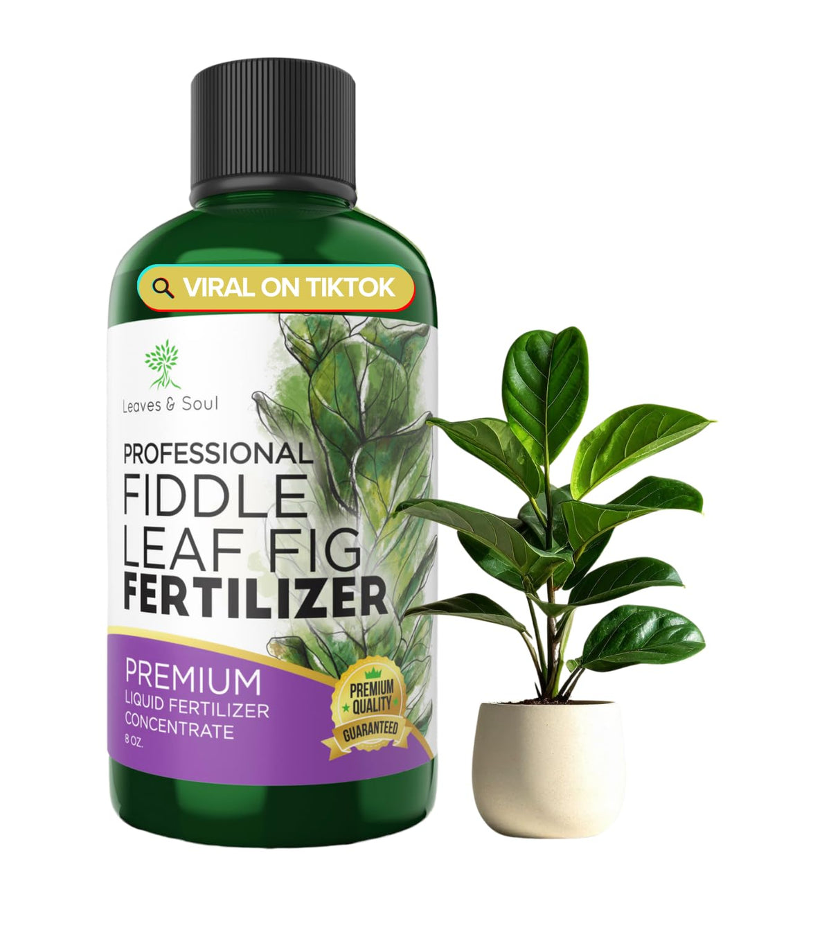 Leaves and Soul fiddle leaf fig fertilizer bottle supporting steady growth.