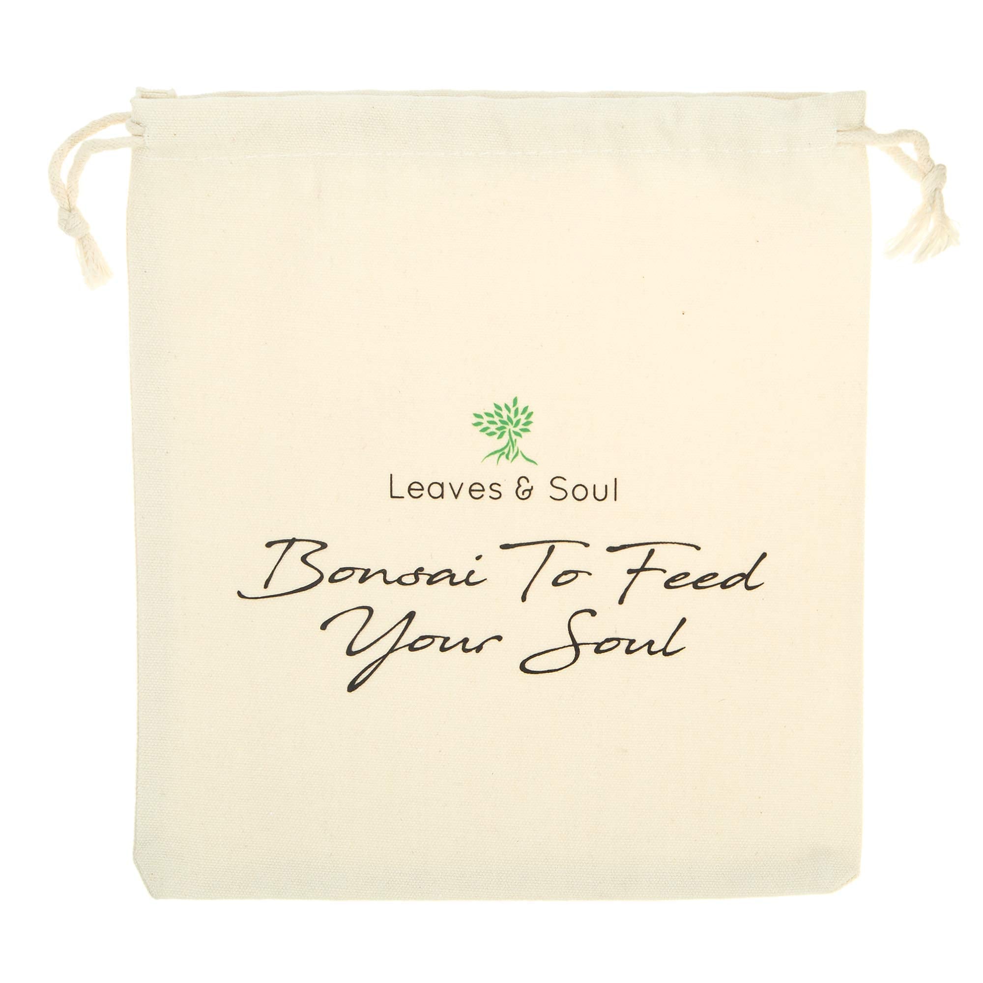 Leaves and Soul gift-ready packaging makes it an ideal bonsai gift.