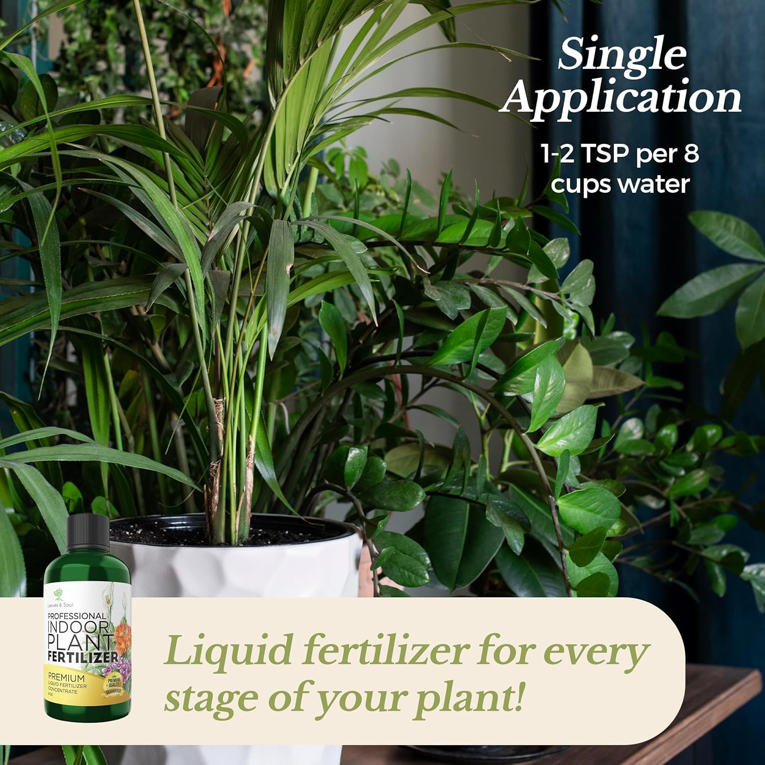 Leaves and Soul application on a thriving houseplant supporting healthy growth and vitality